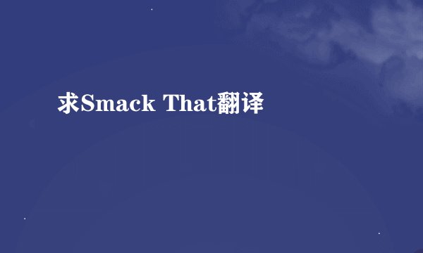 求Smack That翻译