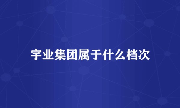 宇业集团属于什么档次