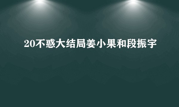 20不惑大结局姜小果和段振宇