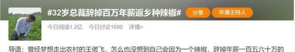 真君子还是大忽悠∣32岁百万年薪副总裁辞职返乡种辣椒