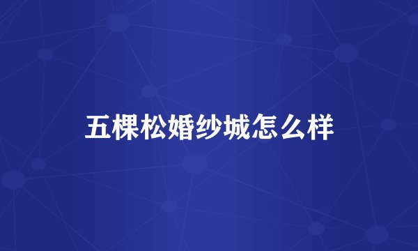 五棵松婚纱城怎么样