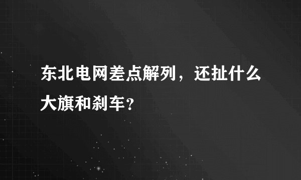 东北电网差点解列，还扯什么大旗和刹车？