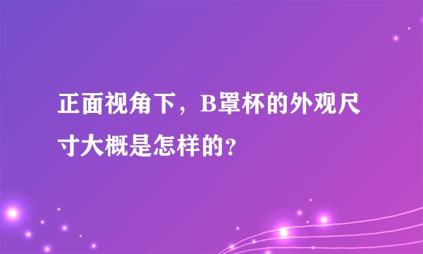 正面视角下，B罩杯的外观尺寸大概是怎样的？