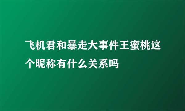 飞机君和暴走大事件王蜜桃这个昵称有什么关系吗