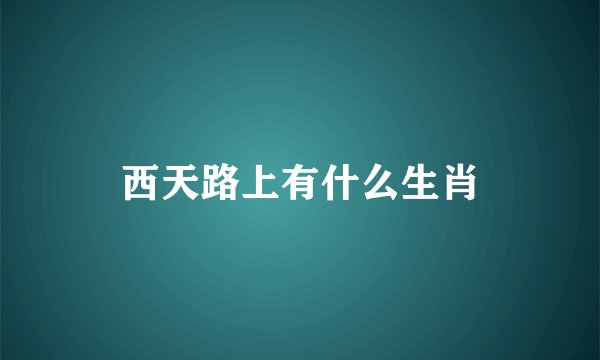 西天路上有什么生肖