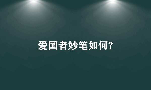 爱国者妙笔如何?