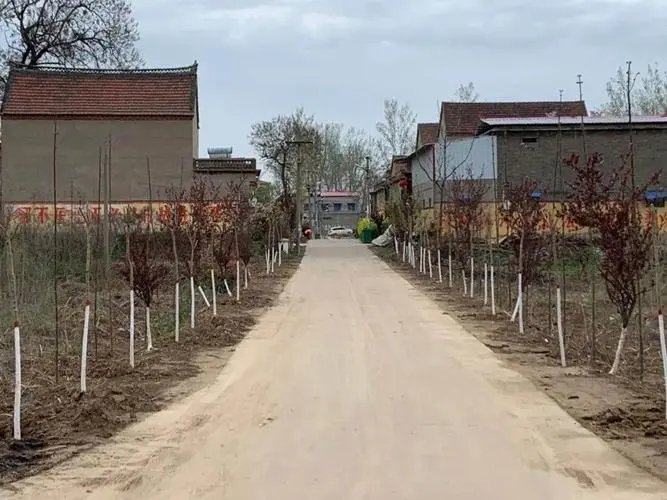 许昌大周镇“捡破烂”一年挣了800亿，他们所谓的捡破烂业务是干什么的
