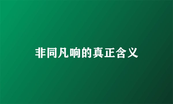 非同凡响的真正含义
