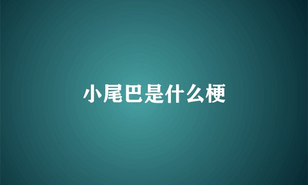 小尾巴是什么梗