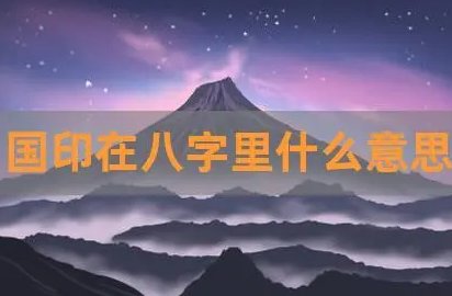 国印在八字里什么意思
