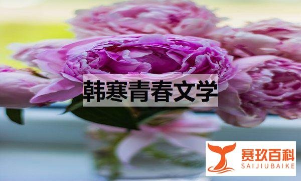 韩寒青春文学（韩寒小说青春）