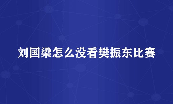 刘国梁怎么没看樊振东比赛