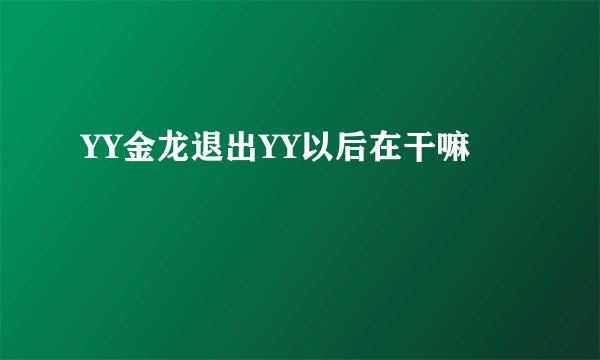YY金龙退出YY以后在干嘛