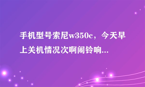 手机型号索尼w350c，今天早上关机情况次啊闹铃响后按了延时，第二次响铃就开不了机了，是不是软件出问题？