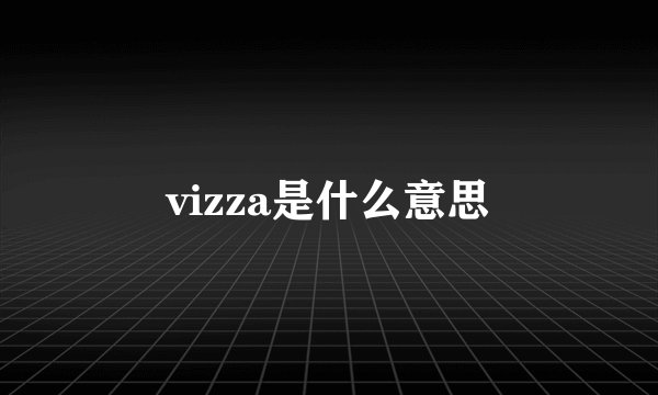 vizza是什么意思