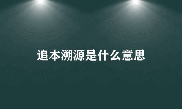 追本溯源是什么意思