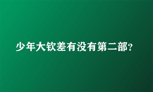 少年大钦差有没有第二部？