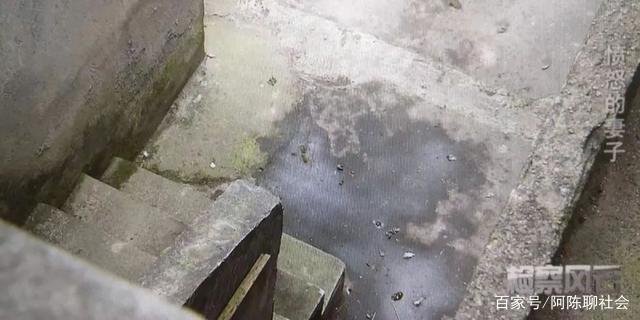上海出租屋命案：丈夫出轨，女子深夜钻进丈夫房，妻子发怒酿惨剧，为何？