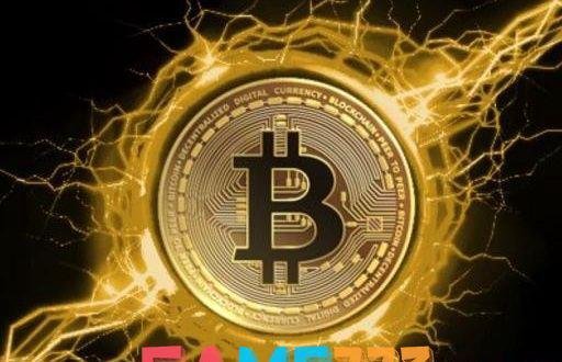质数币怎么样？质数币详细介绍一览