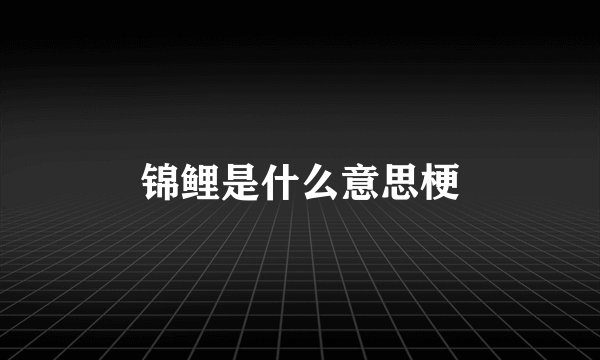 锦鲤是什么意思梗