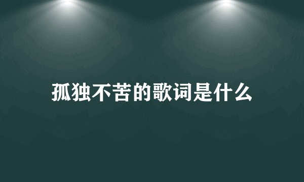 孤独不苦的歌词是什么