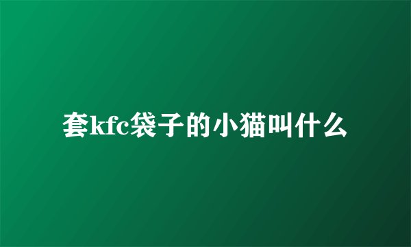 套kfc袋子的小猫叫什么