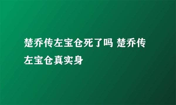 楚乔传左宝仓死了吗 楚乔传左宝仓真实身