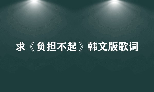 求《负担不起》韩文版歌词