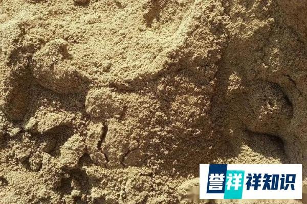 中国大陆暂停对台出口“天然砂”,台湾半导体产业恐受波及