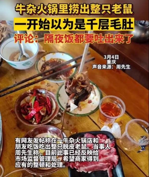 重庆男子牛杂火锅店吃出脱皮老鼠 网友：头一次光看文字都想吐