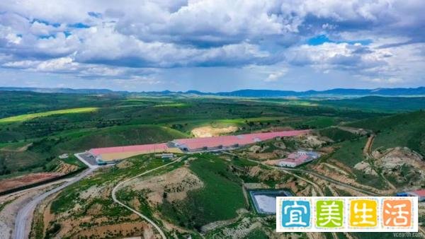 53岁再创业,从华尔街到生物育种,她成为了家育种业的“猪妈妈”