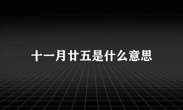 十一月廿五是什么意思