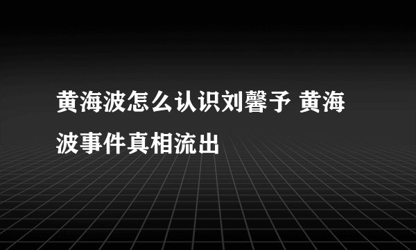 黄海波怎么认识刘馨予 黄海波事件真相流出