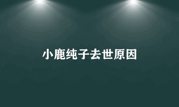 小鹿纯子去世原因