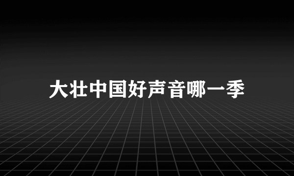 大壮中国好声音哪一季