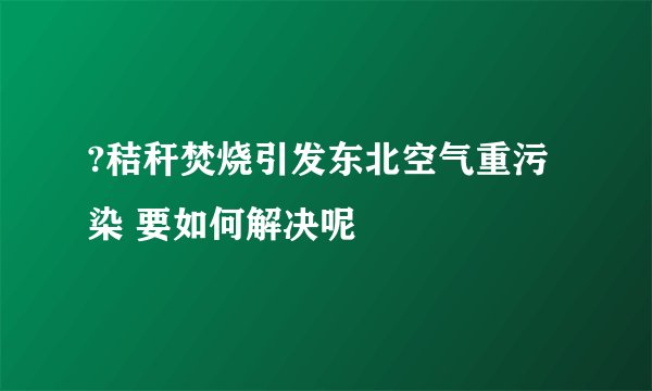 ?秸秆焚烧引发东北空气重污染 要如何解决呢