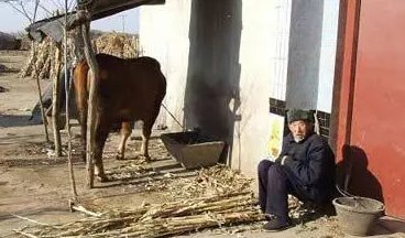 老人两天没出门,邻居翻墙救人!老人究竟怎么样了?