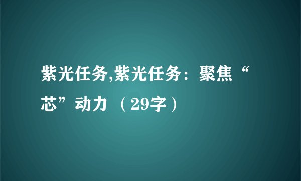 紫光任务,紫光任务：聚焦“芯”动力 （29字）