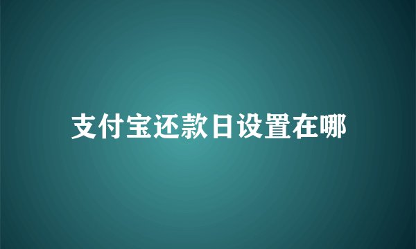 支付宝还款日设置在哪