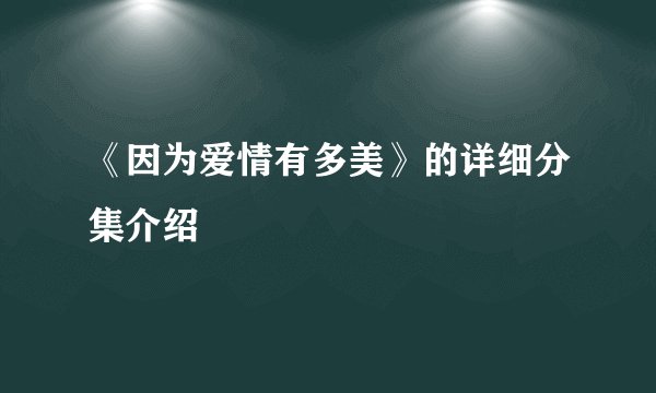 《因为爱情有多美》的详细分集介绍