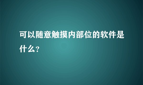 可以随意触摸内部位的软件是什么?