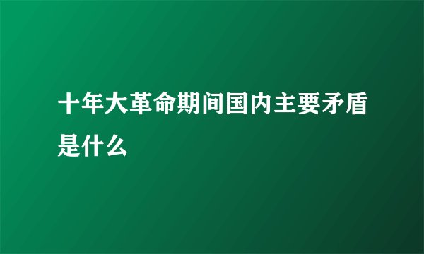 十年大革命期间国内主要矛盾是什么