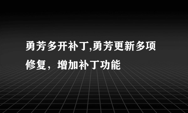 勇芳多开补丁,勇芳更新多项修复，增加补丁功能