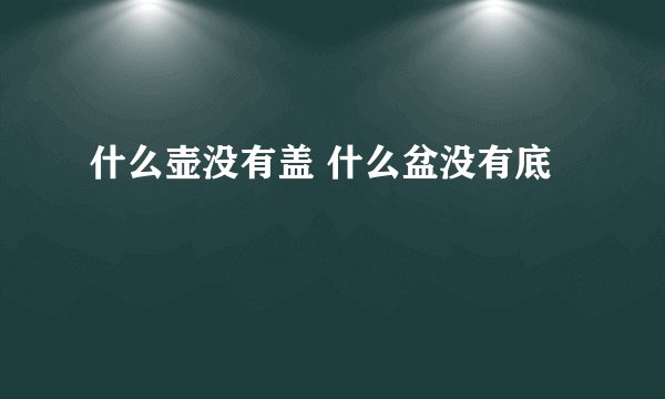 什么壶没有盖 什么盆没有底