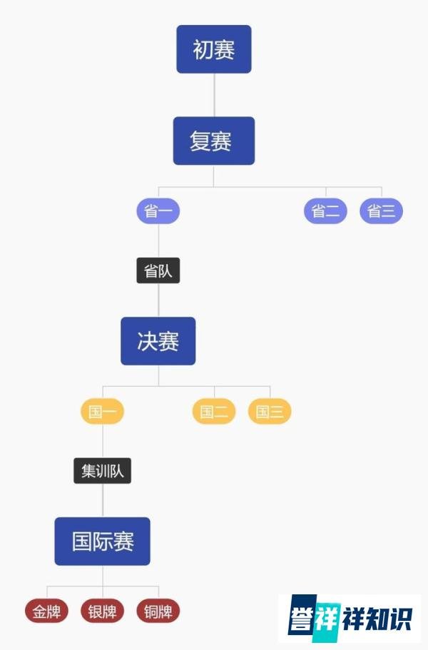 学科竞赛中的策略与技巧：如何制定有效的竞赛计划？