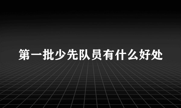 第一批少先队员有什么好处