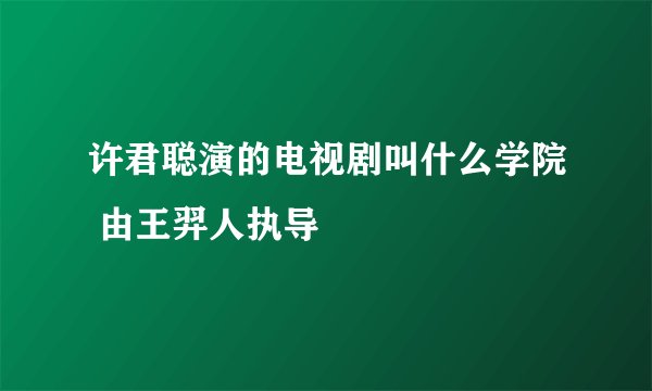 许君聪演的电视剧叫什么学院 由王羿人执导