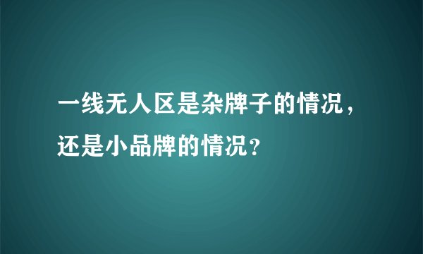 一线无人区是杂牌子的情况，还是小品牌的情况？