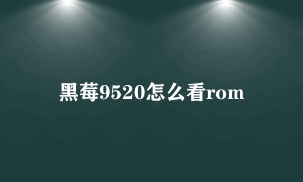 黑莓9520怎么看rom