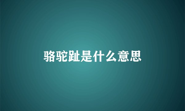 骆驼趾是什么意思